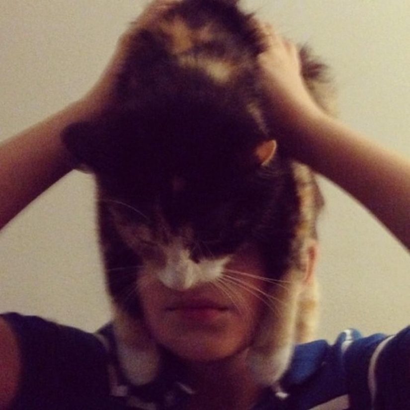 manía catman manía catman