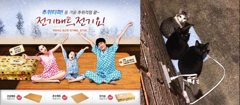 Manta caliente, bidé y mini ventiladores: qué electrodomésticos de uso diario se utilizan en Corea del Sur