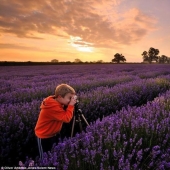 Manzana del manzano: el hijo del fotógrafo toma fotos increíbles