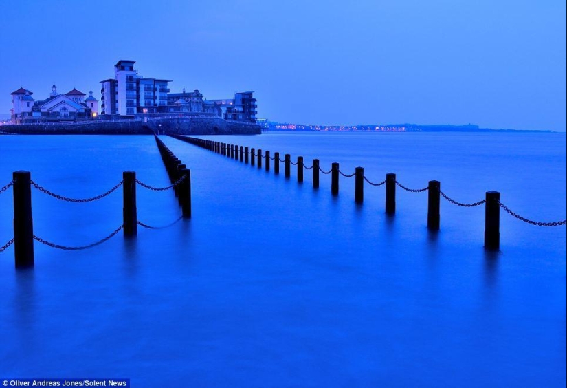 Manzana del manzano: el hijo del fotógrafo toma fotos increíbles