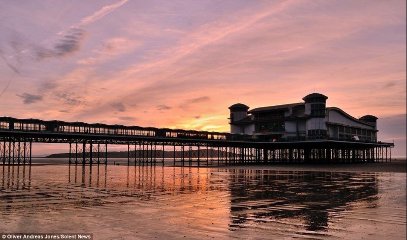 Manzana del manzano: el hijo del fotógrafo toma fotos increíbles