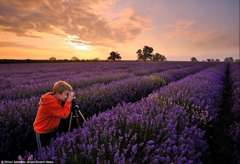 Manzana del manzano: el hijo del fotógrafo toma fotos increíbles