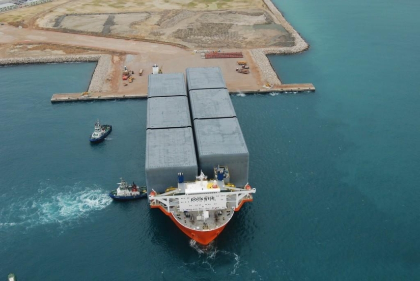 Marine Giant Blue Marlin Marine Giant Blue Marlin