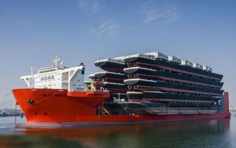 Marine Giant Blue Marlin Marine Giant Blue Marlin