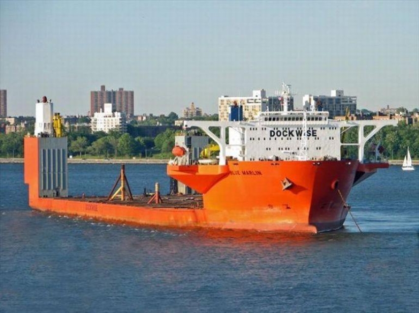 Marlín Azul Gigante Marino Marlín Azul Gigante Marino