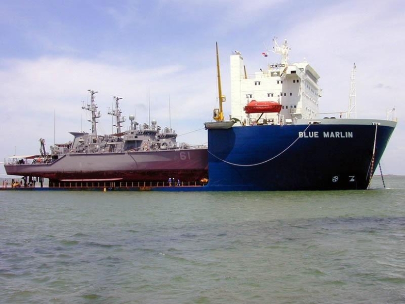 Marlín Azul Gigante Marino Marlín Azul Gigante Marino