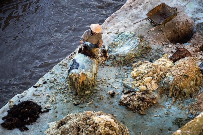 Marruecos: talleres de cuero de Fes