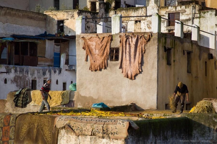 Marruecos: talleres de cuero de Fes