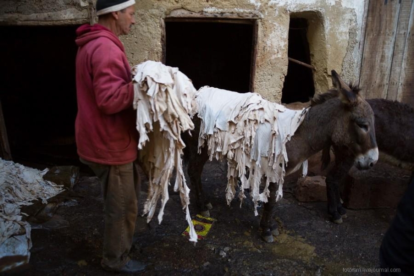 Marruecos: talleres de cuero de Fes