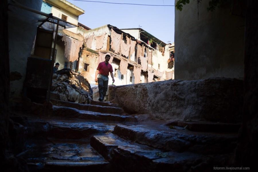 Marruecos: talleres de cuero de Fes
