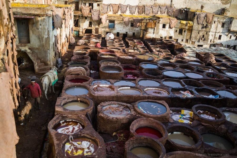 Marruecos: talleres de cuero de Fes