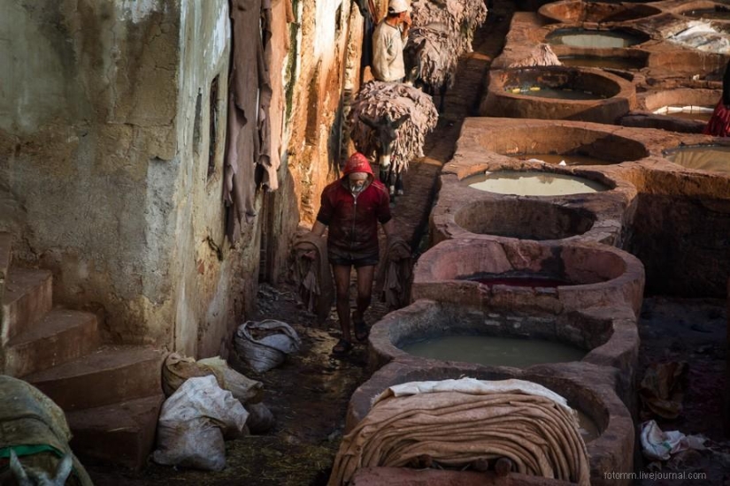 Marruecos: talleres de cuero de Fes