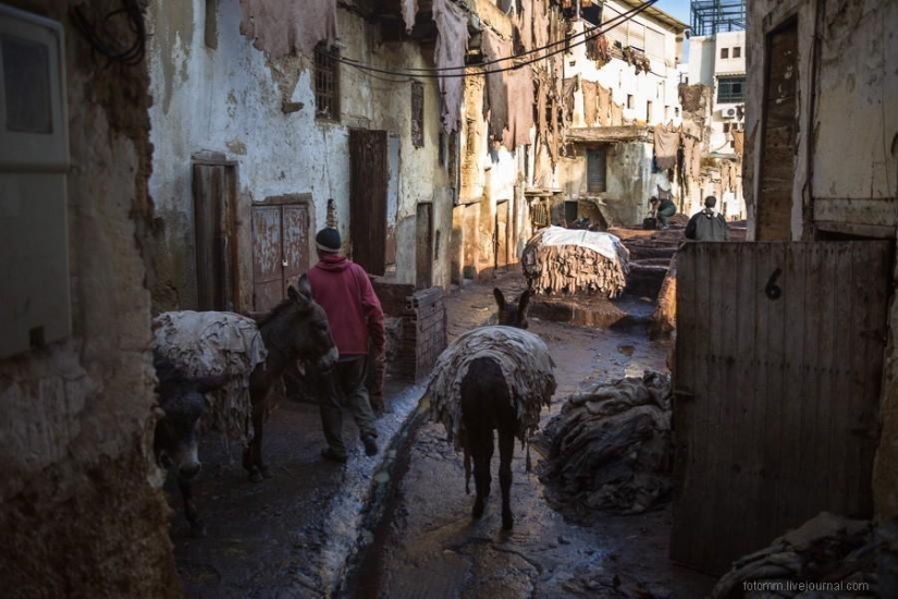 Marruecos: talleres de cuero de Fes