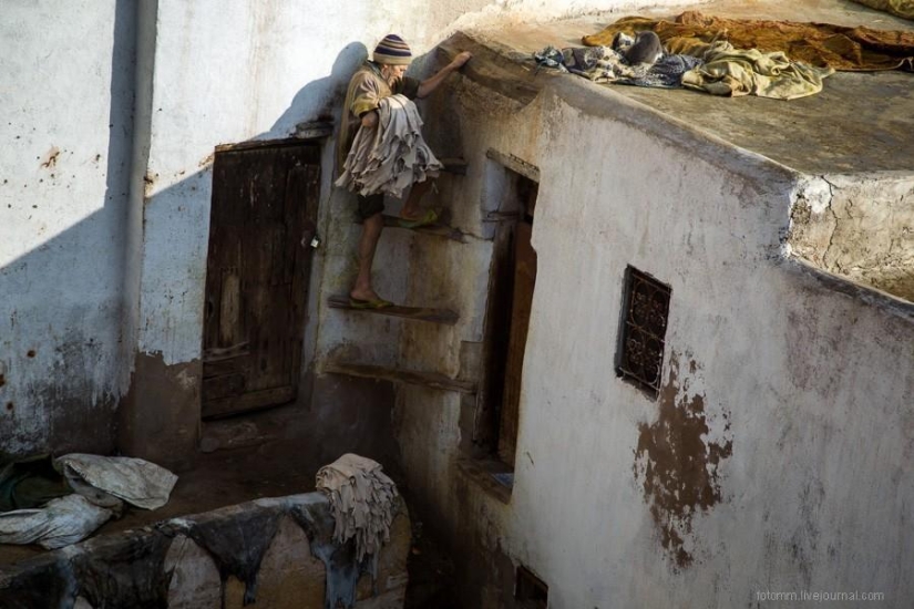Marruecos: talleres de cuero de Fes