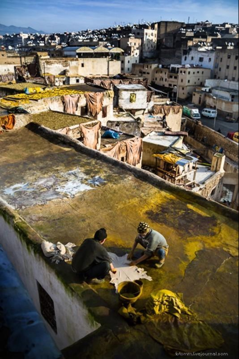 Marruecos: talleres de cuero de Fes