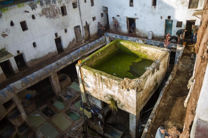 Marruecos: talleres de cuero de Fes