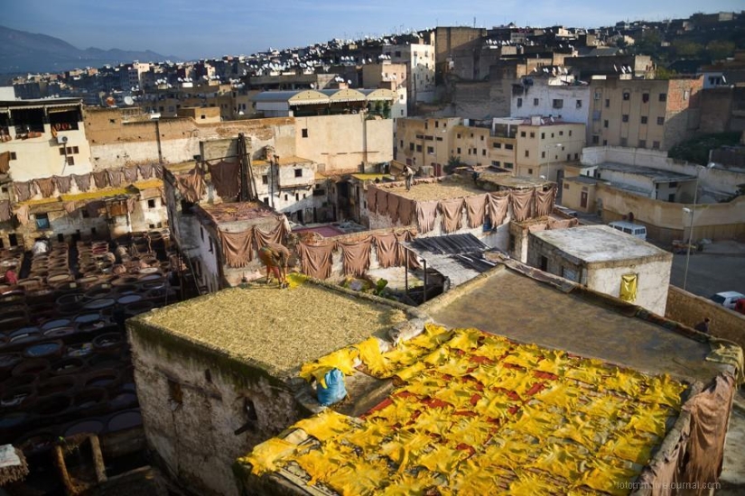 Marruecos: talleres de cuero de Fes