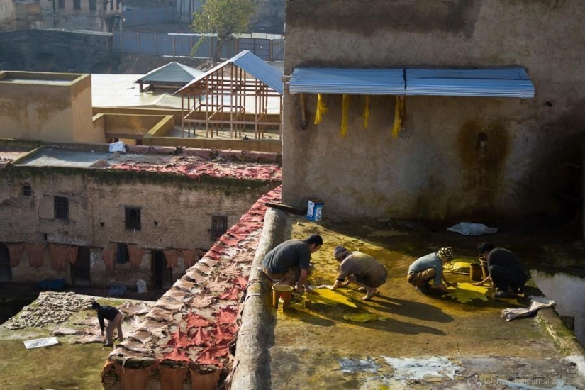 Marruecos: talleres de cuero de Fes