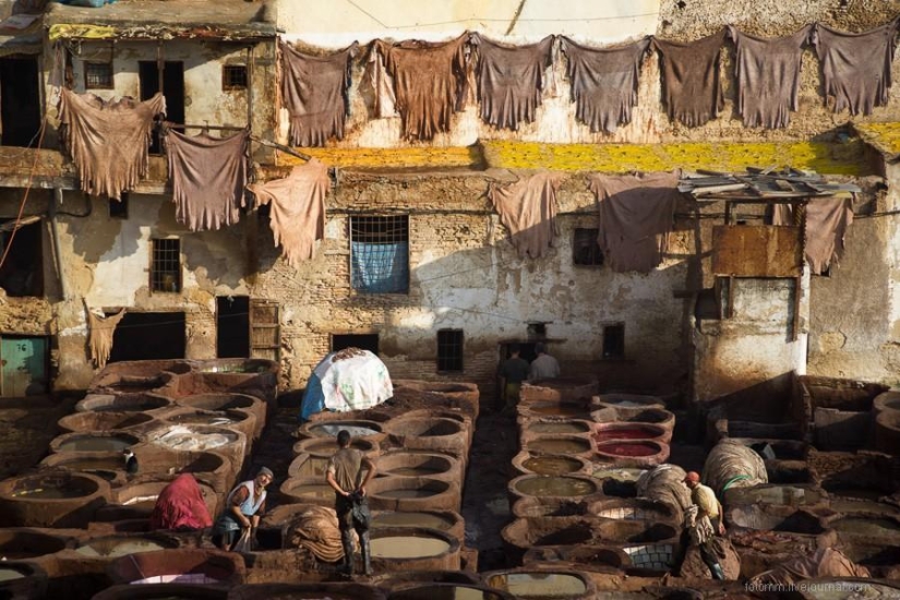 Marruecos: talleres de cuero de Fes