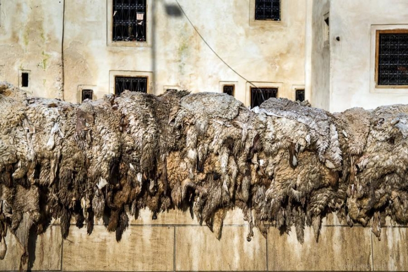 Marruecos: talleres de cuero de Fes