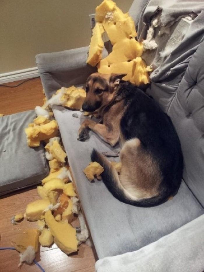 Master, yes, I have nothing to do with it at all