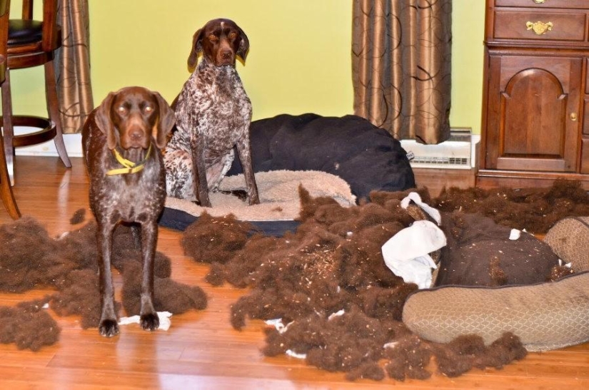 Master, yes, I have nothing to do with it at all