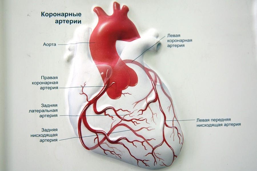 Matters of the Heart, or Operation Without Cuts Matters of the Heart, or Operation Without Cuts