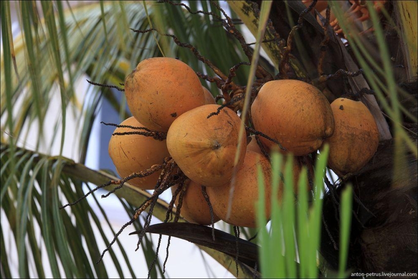 Mauritius - a piece of Paradise