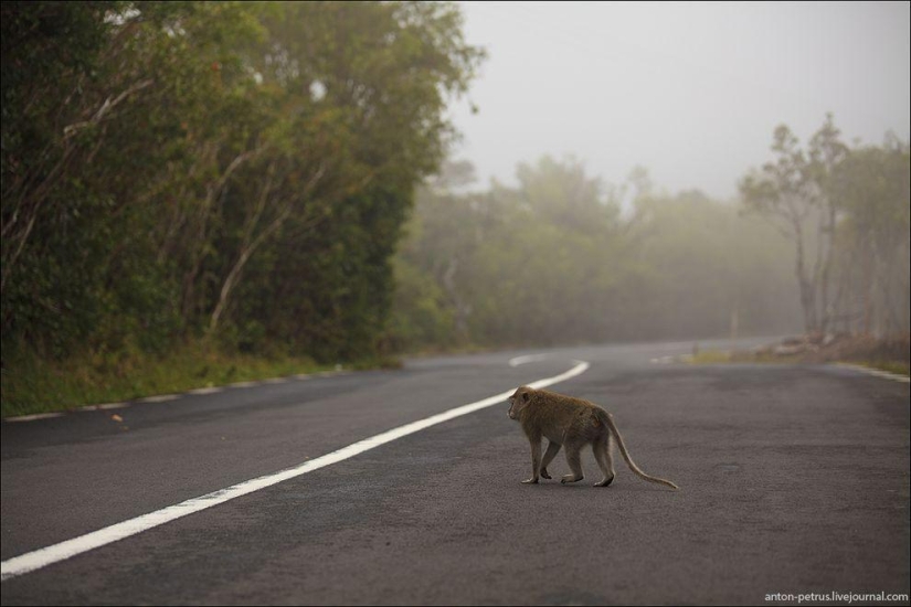 Mauritius - a piece of Paradise