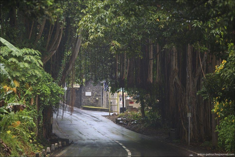 Mauritius - a piece of Paradise