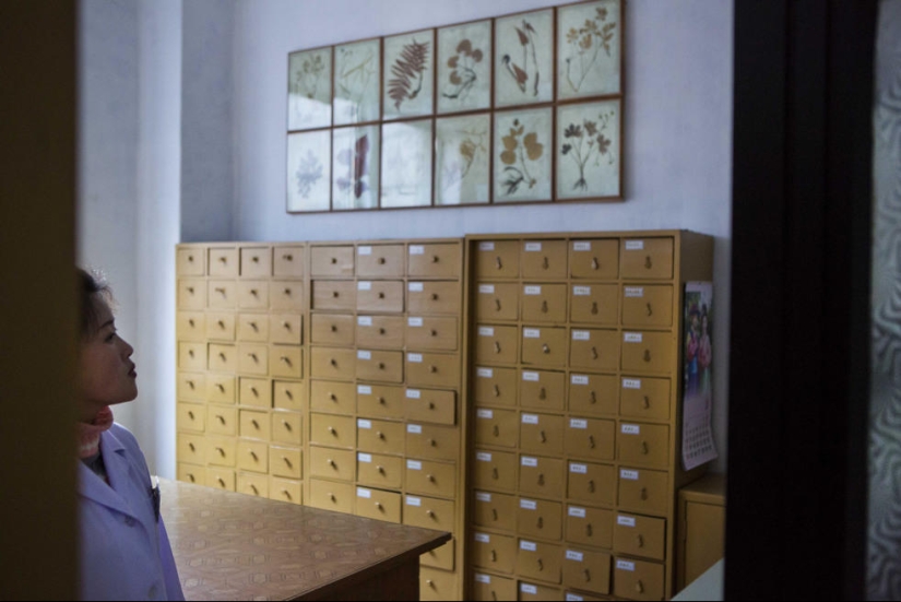 Medicina tradicional en Corea del Norte