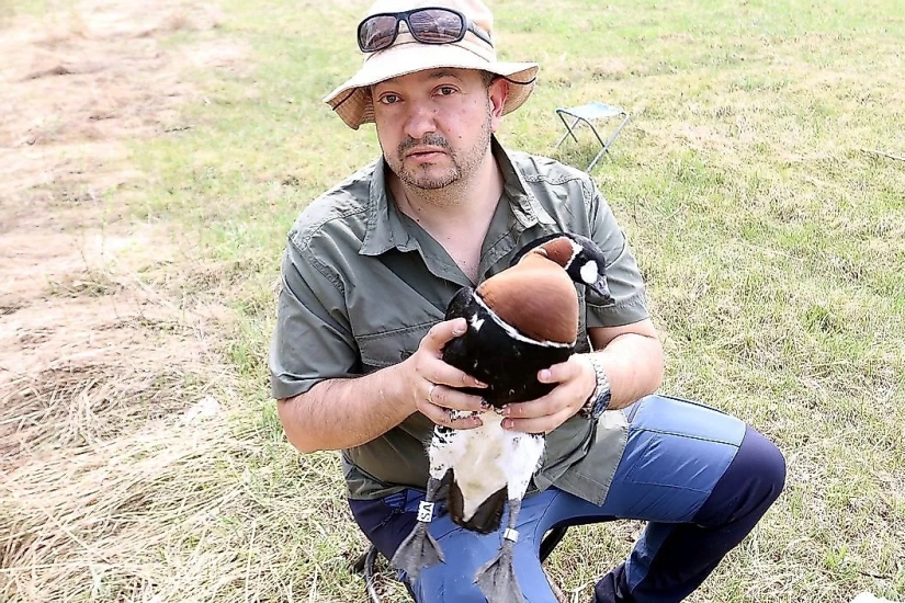 Meet 12 Incredible Conservation Heroes Saving Our Wildlife From Extinction