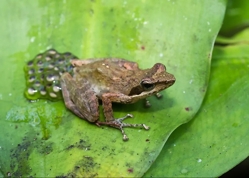 Meet 12 Incredible Conservation Heroes Saving Our Wildlife From Extinction