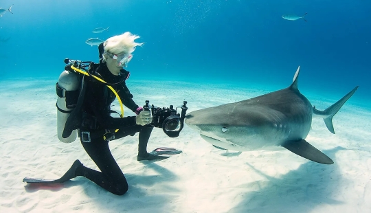 Meet 12 Incredible Conservation Heroes Saving Our Wildlife From Extinction Meet 12 Incredible Conservation Heroes Saving Our Wildlife From Extinction