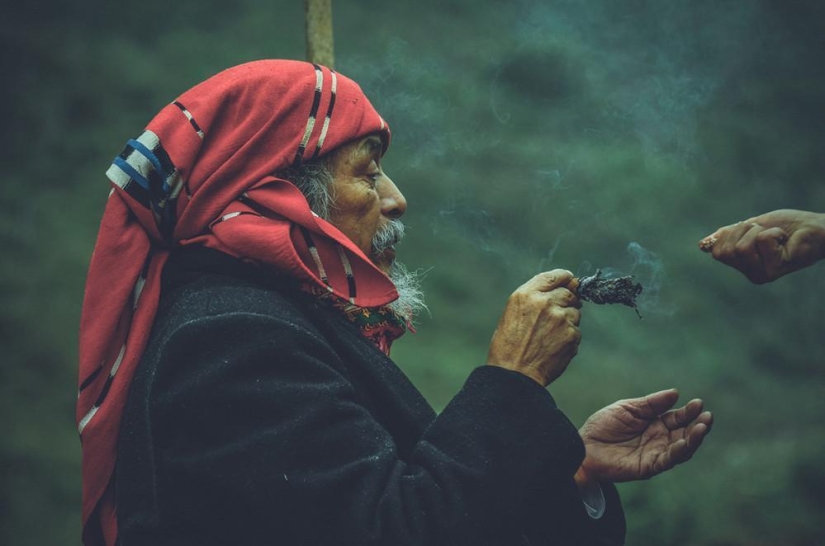 "Meeting of the rainbow tribes": meetings of modern hippies