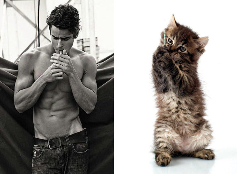 men and cats men and cats