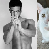 men and cats