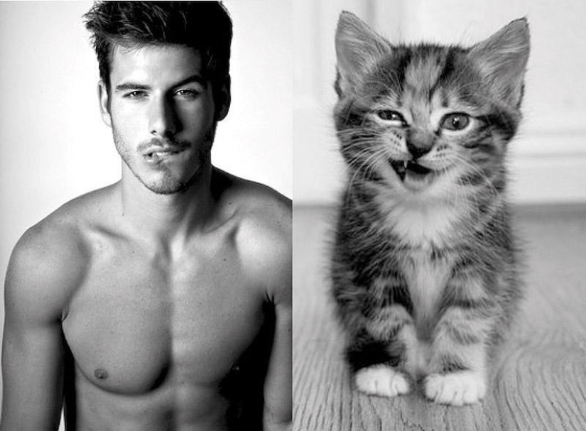 men and cats men and cats