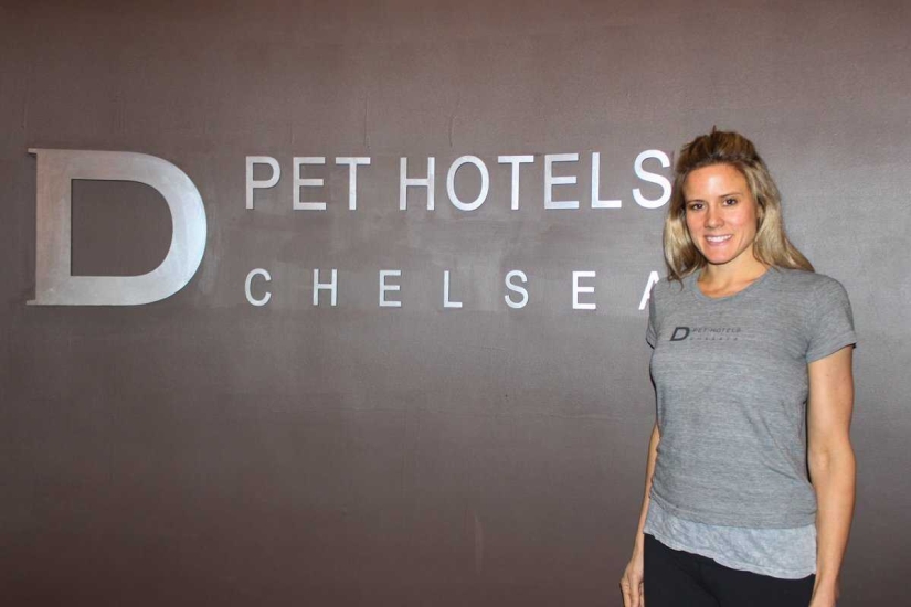 Menos de $ 200 por noche: New York Dog Hotel Menos de $ 200 por noche: New York Dog Hotel