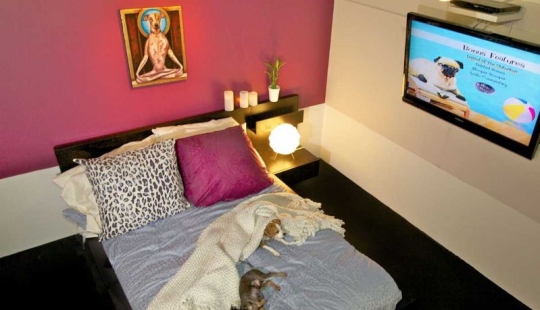 Menos de $ 200 por noche: New York Dog Hotel Menos de $ 200 por noche: New York Dog Hotel