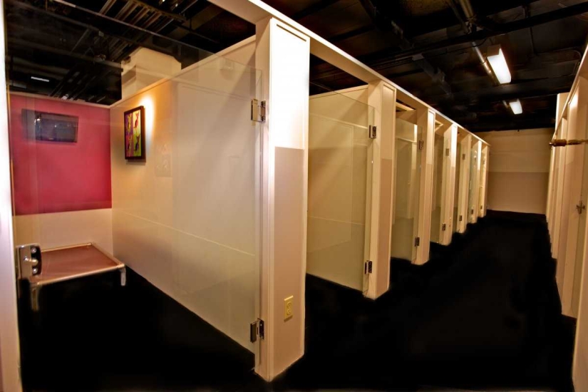 Menos de $ 200 por noche: New York Dog Hotel Menos de $ 200 por noche: New York Dog Hotel