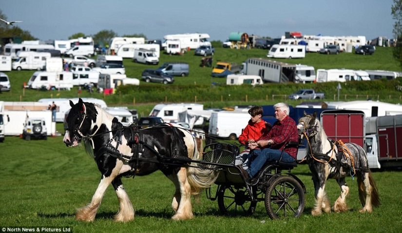 Mezclados en un grupo de caballos, personas: lo que miles de gitanos están haciendo en la Feria del Caballo de Appleby Mezclados en un grupo de caballos, personas: lo que miles de gitanos están haciendo en la Feria del Caballo de Appleby