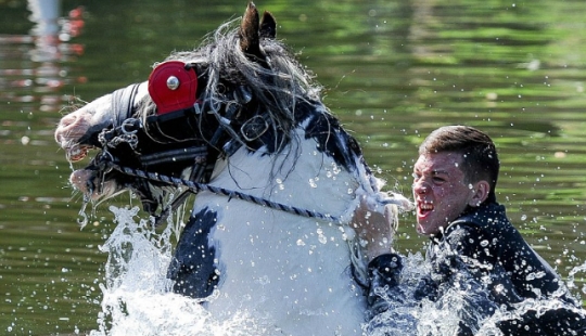 Mezclados en un grupo de caballos, personas: lo que miles de gitanos están haciendo en la Feria del Caballo de Appleby Mezclados en un grupo de caballos, personas: lo que miles de gitanos están haciendo en la Feria del Caballo de Appleby