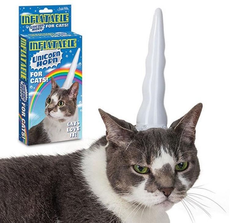 ¡Mi maestro es un idiota!