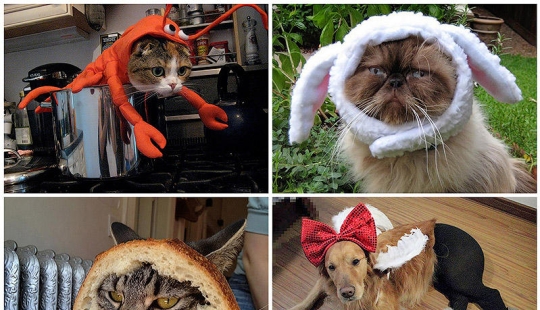 ¡Mi maestro es un idiota!