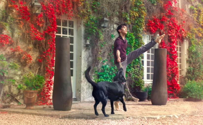 Mikael Joe - El hombre que derrotó a la gravedad