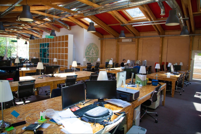 Mikhail Komarov: "Office and car as a startup image"