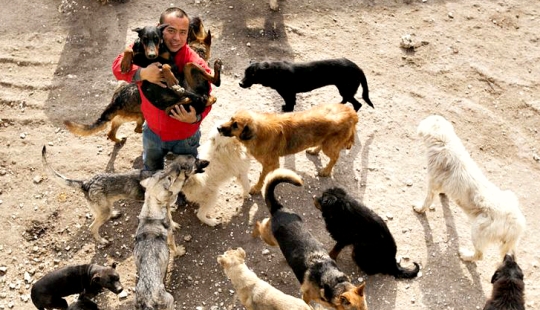 Millonario chino se arruina por culpa de los perros Millonario chino se arruina por culpa de los perros