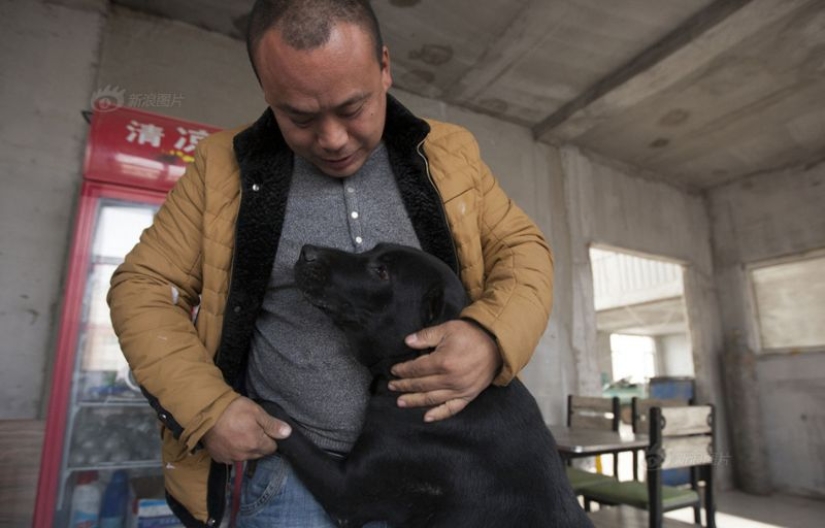 Millonario chino se arruina por culpa de los perros Millonario chino se arruina por culpa de los perros