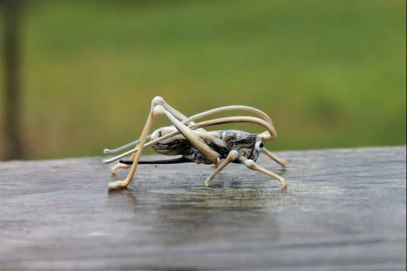 Mis 8 figuras en miniatura de vidrio que hice para Navidad como regalos únicos Mis 8 figuras en miniatura de vidrio que hice para Navidad como regalos únicos